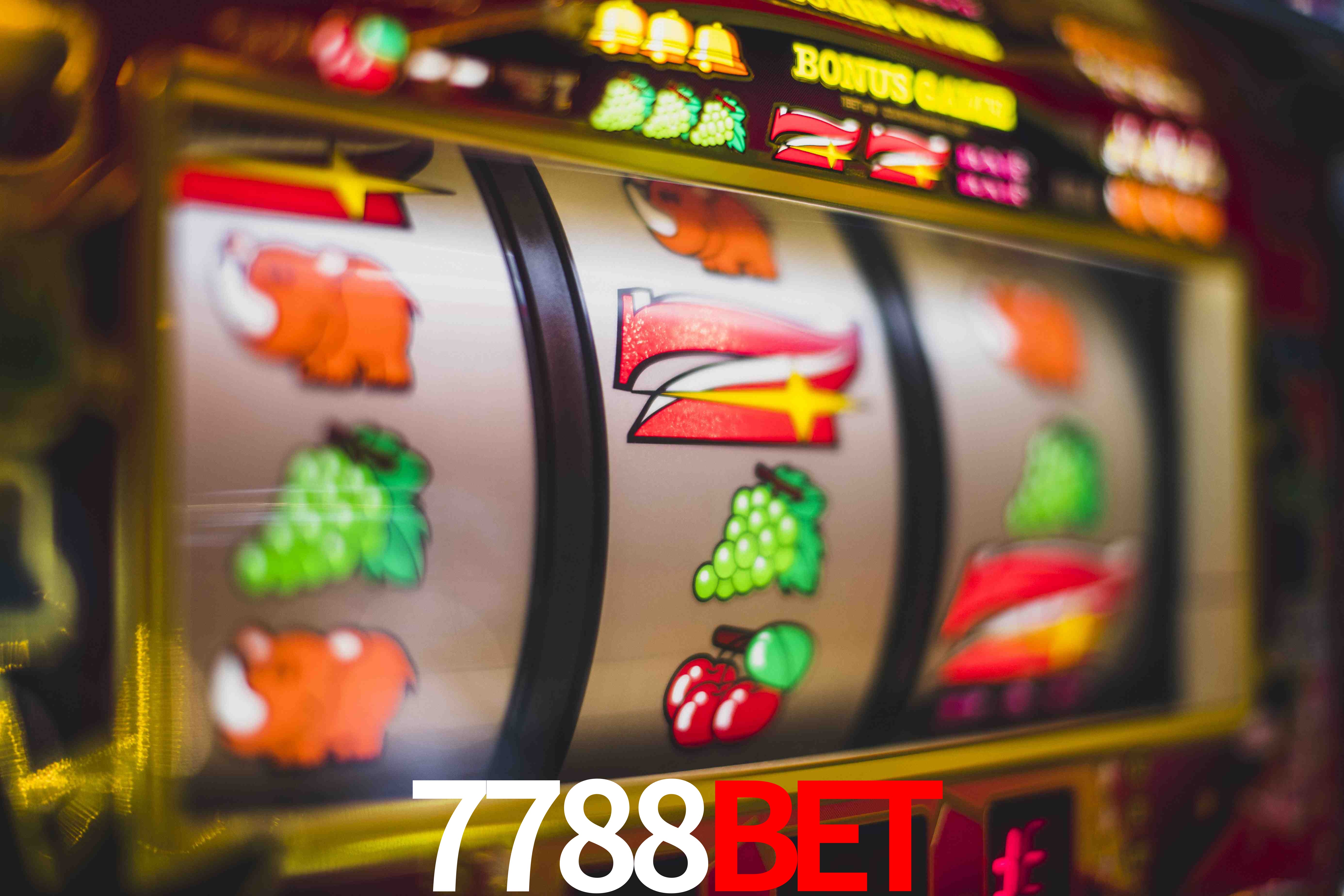 Crash Games Statistics 7788bet